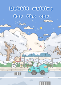 Rabbit waiting for the car