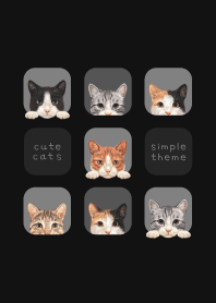 CATS - Mixed breed cat 01 - BLACK/GRAY