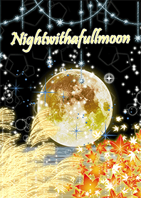 Night with a fullmoon