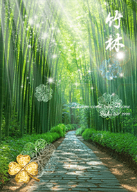 Bamboo forest Fresh green clover