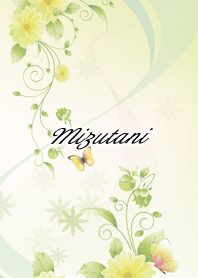 Mizutani Butterflies & flowers
