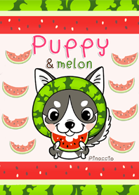Puppy & Melon