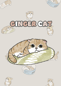 gingercat11 / linen