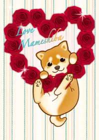 Valentine love shiba brown dog 4