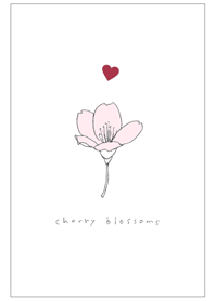 Cherry Blossoms & Heart Theme