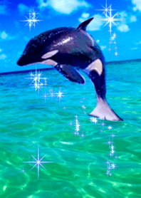 Lucky Orca Sea Blue