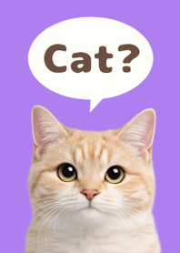 Gato Simples 2 Purple 01