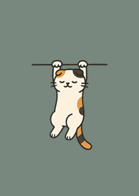 Hanging Scottish Fold (Dusty Green)#3