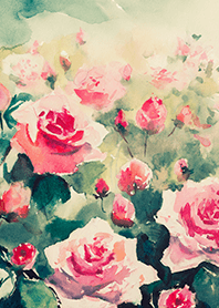 Beautiful rose flower(R4010)