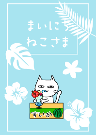 Every day Cat37. -Summer Vacation-