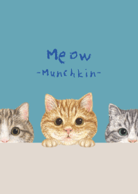Meow - Munchkin - TURQUOISE BLUE