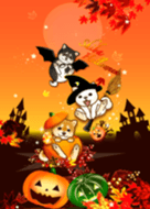 Halloween with shiba dogs (autumn)