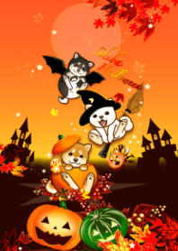 Halloween with shiba dogs (autumn)