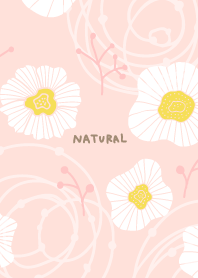 Cute pretty white flower11 from Japan