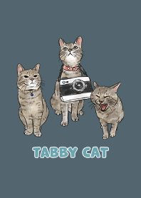 tabbycat11 - dark steel blue