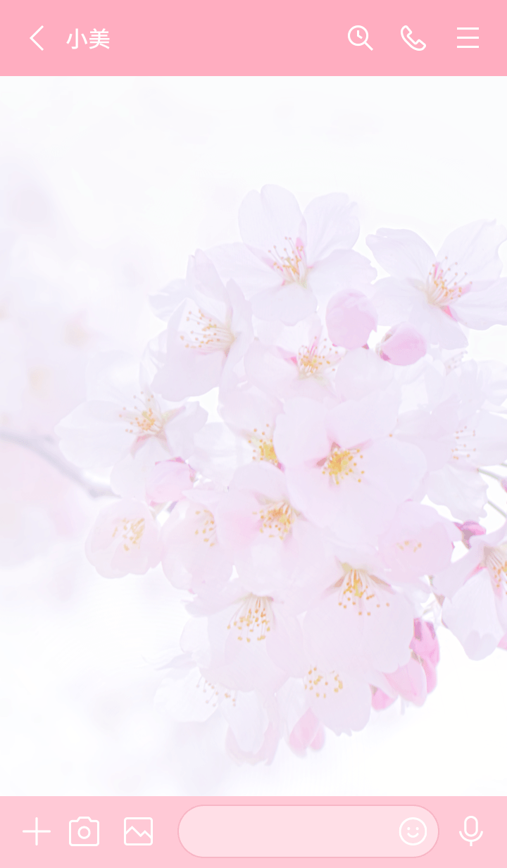 preview_003_720x1232