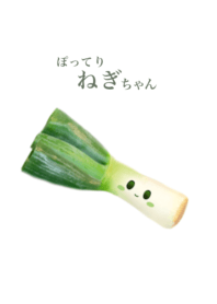 Spring onion chan 2
