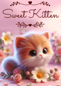 Sweet Kitten No.145