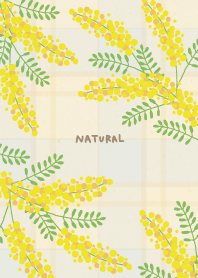 Mimosa wild dance11 from Japan