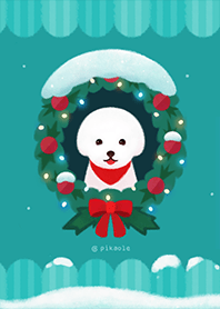 聖誕節捲毛比雄犬