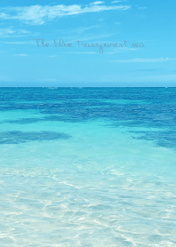 The blue transparent sea 4