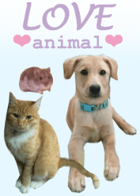 LOVE -animal-