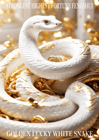 Golden White Snake of Financial Luck 13
