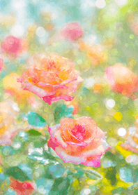 Beautiful rose flower(R1512)