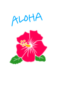 Simple hibiscus in Hawaii