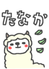 Tanaka cute alpaca theme!