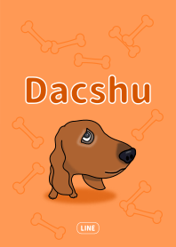 Dachs