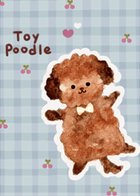cute love toy poodle2
