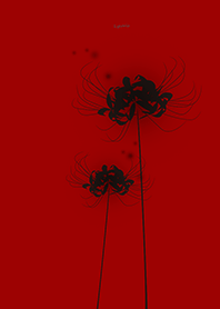 Lycoris black Background red