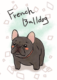 Bulldog Prancis hitam yang lucu.