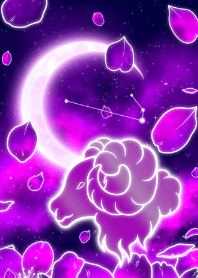 紫色樱花白羊座