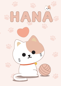 HANA The Cat