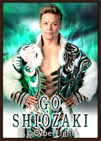 PRO WRESTLING NOAH SHIOZAKI GO