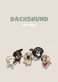 dachshund1 / beige