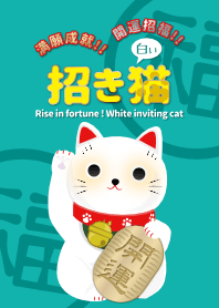 Kucing putih yang beruntung !