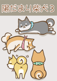 陽だまり柴犬　3