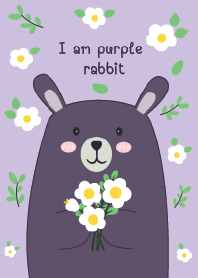 I am purple  rabbit No.1