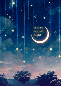 - starry moonlit night -