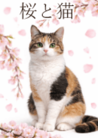 Spring Cherry blossoms and cats