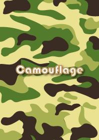 Camouflage Dress up 2.