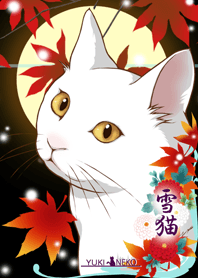 A snow cat YUKINEKO