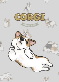 corgicorgi8 - light grey