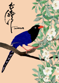 I Love Formosan Blue Magpie(5)