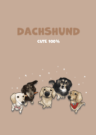 dachshund1 / mocha