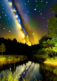 Beautiful starry night view#973