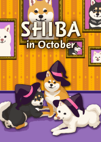10月の柴犬